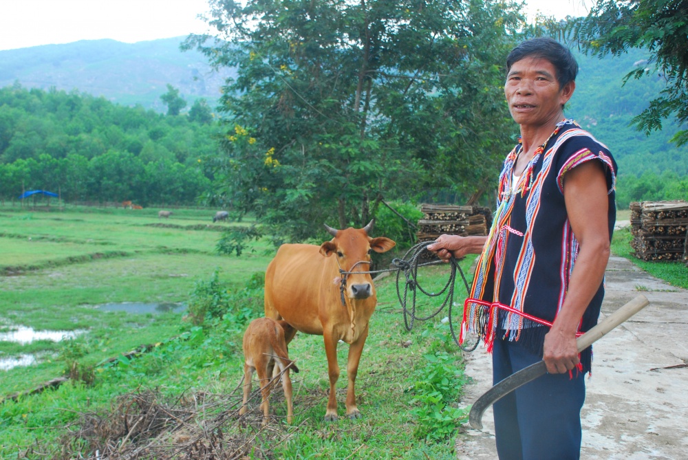 Đà Nẵng: 100% hộ nghèo có nhu cầu vay vốn đều được giải quyết Đà Nẵng: 100% hộ nghèo có nhu cầu vay vốn đều được giải quyết
