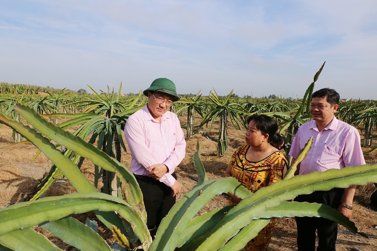 Tổng Giám đốc Dương Quyết Thắng (ngoài cùng bên trái) thăm mô hình gia đình chị Nguyễn Thị Kim Em ở ấp 8, xã Phước Tân Hưng, huyện Châu Thành vay 50 triệu đồng vốn chính sách để trồng và chăm sóc 0,2 héc-ta thanh long