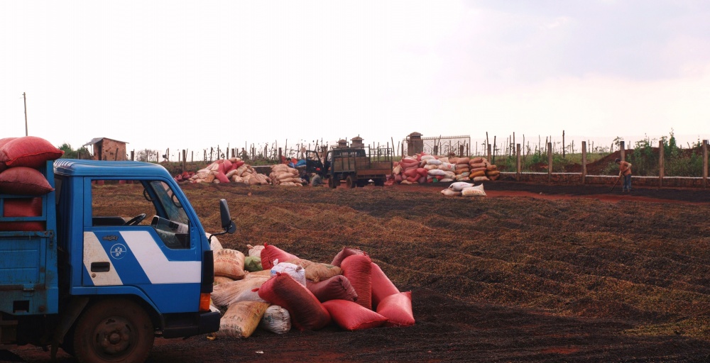 Ngành Ngân hàng Gia Lai đáp ứng đủ và kịp thời nhu cầu vốn của người dân và doanh nghiệp Ngành Ngân hàng Gia Lai đáp ứng đủ và kịp thời nhu cầu vốn của người dân và doanh nghiệp