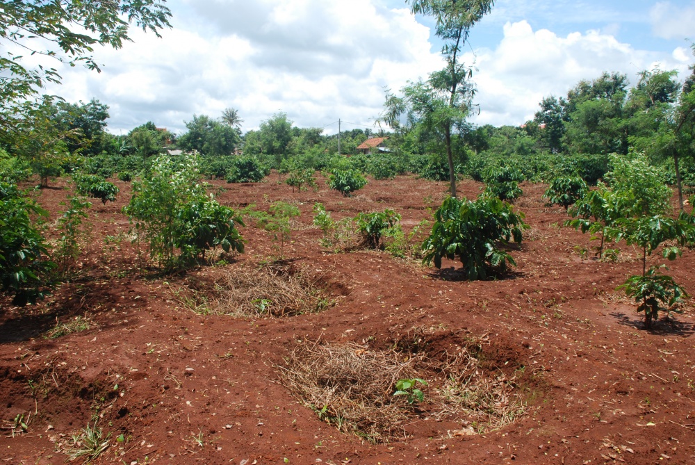Ngành Ngân hàng Gia Lai đáp ứng đủ và kịp thời nhu cầu vốn của người dân và doanh nghiệp Ngành Ngân hàng Gia Lai đáp ứng đủ và kịp thời nhu cầu vốn của người dân và doanh nghiệp