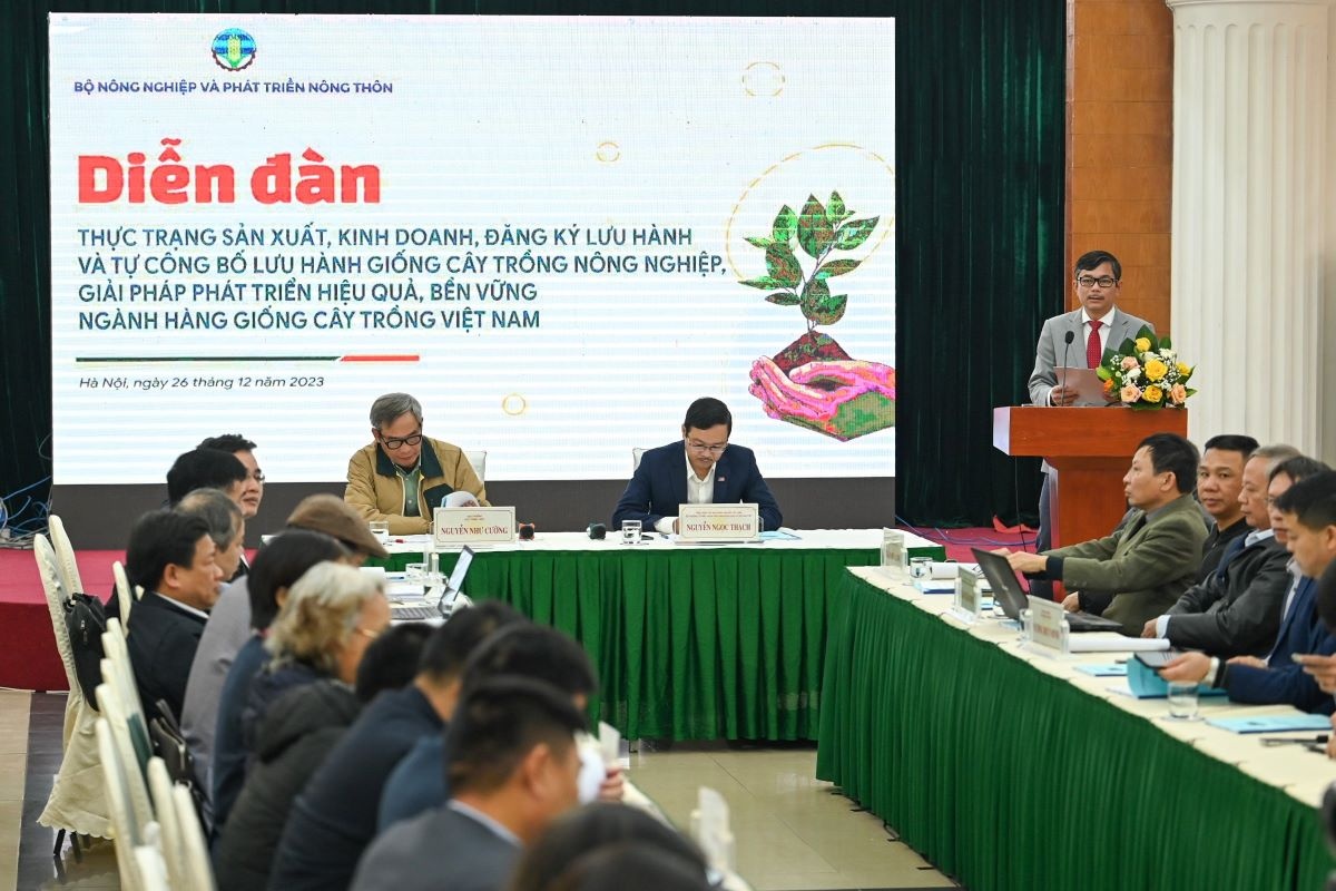 Trên thị trường cây giống, đặc biệt là cây ăn quả, vẫn tồn tại hiện tượng giống trôi nổi, không rõ nguồn gốc. Trên thị trường cây giống, đặc biệt là cây ăn quả, vẫn tồn tại hiện tượng giống trôi nổi, không rõ nguồn gốc.