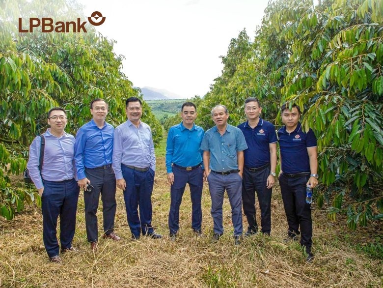 LPBank dành 6.000 tỷ đồng tín dụng xanh cho miền Trung - Tây Nguyên