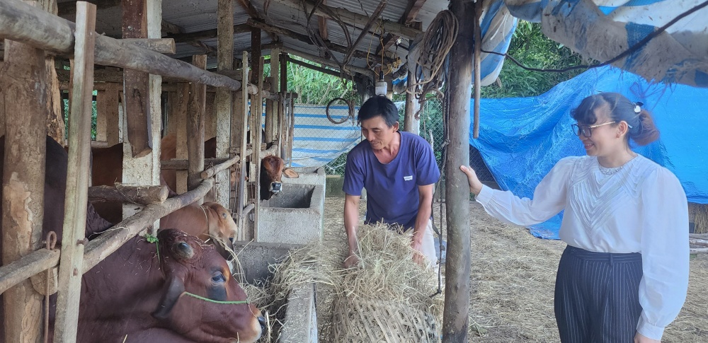 NHCSXH chi nhánh Quảng Nam đã và đang nâng cao hoạt động uỷ thác tín dụng chính sách 