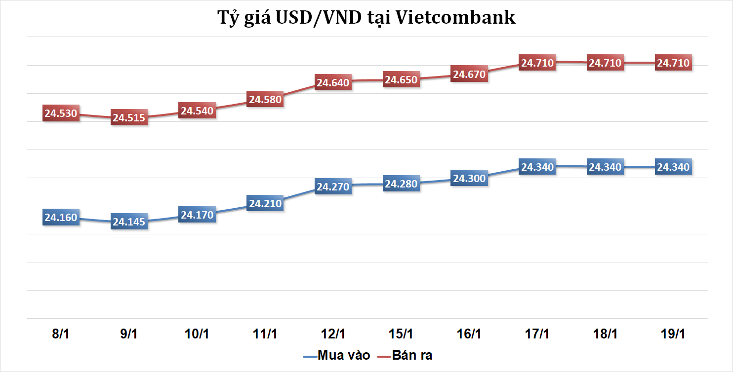 Tỷ giá sáng 19/1: Tỷ giá trung tâm giảm 4 đồng