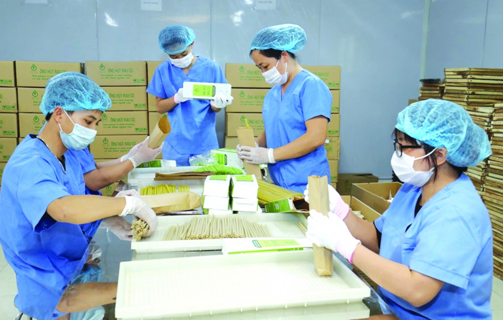 Doanh nghiệp mạnh dạn đầu tư cho sản xuất xanh để góp phần thực thi tầm nhìn phát triển bền vững