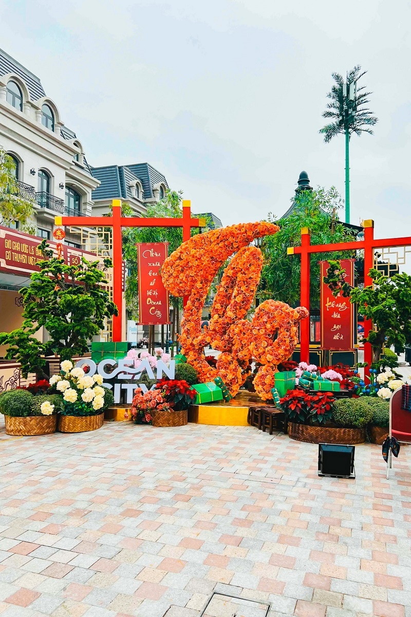 Những góc hoa Tết rực rỡ dự báo trở thành điểm check-in du xuân ngập tràn mạng xã hội