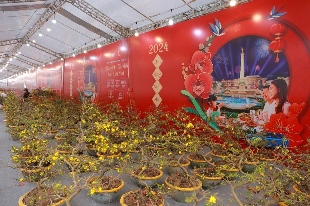 17.000 cây cảnh khoe sắc trong không khí Hội xuân phía Đông Hà Nội