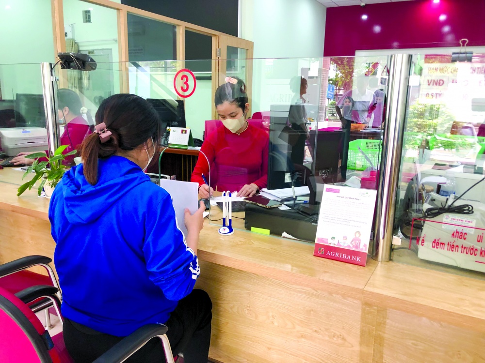 Những cánh chim không mỏi Những cánh chim không mỏi