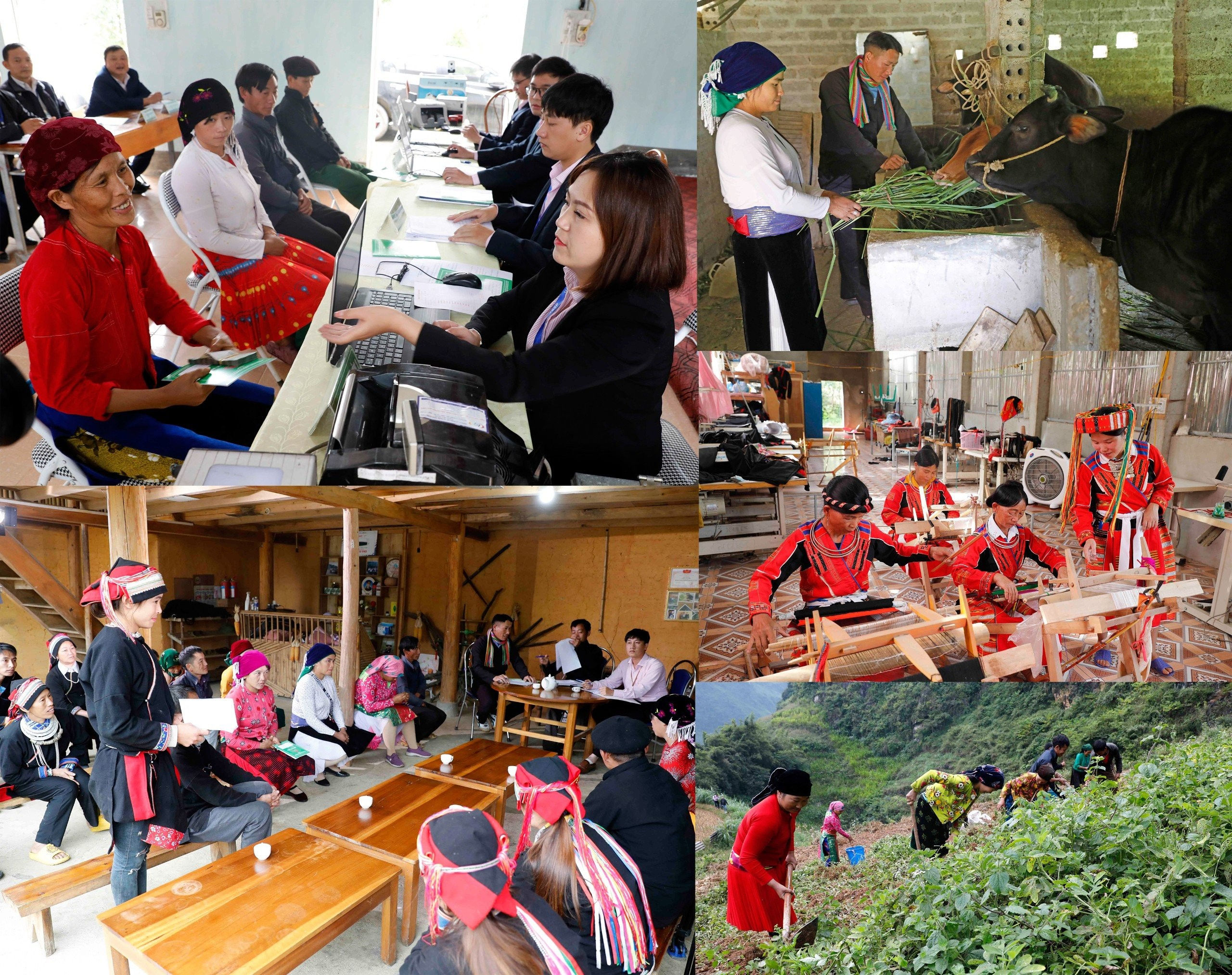 Tín dụng chính sách đã và đang hỗ trợ đầu tư sản xuất, kinh doanh, tạo việc làm cho hàng triệu hộ nghèo và đồng bào DTTS ở vùng sâu, vùng xa trong cả nước Tín dụng chính sách đã và đang hỗ trợ đầu tư sản xuất, kinh doanh, tạo việc làm cho hàng triệu hộ nghèo và đồng bào DTTS ở vùng sâu, vùng xa trong cả nước