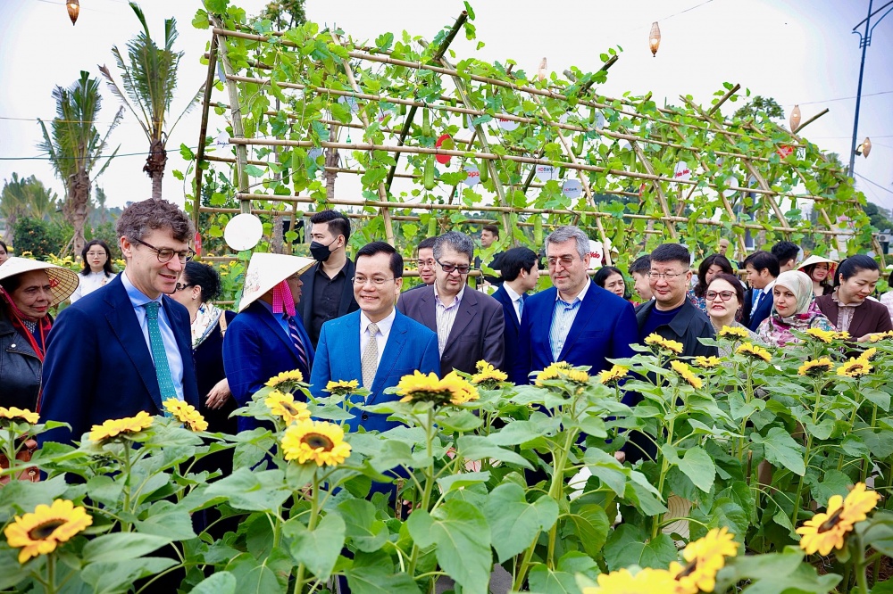 Mailand Hanoi City: Rộn ràng đón khách check in đường hoa Home Hanoi Xuan 2024 trong ngày khai mạc Mailand Hanoi City: Rộn ràng đón khách check in đường hoa Home Hanoi Xuan 2024 trong ngày khai mạc