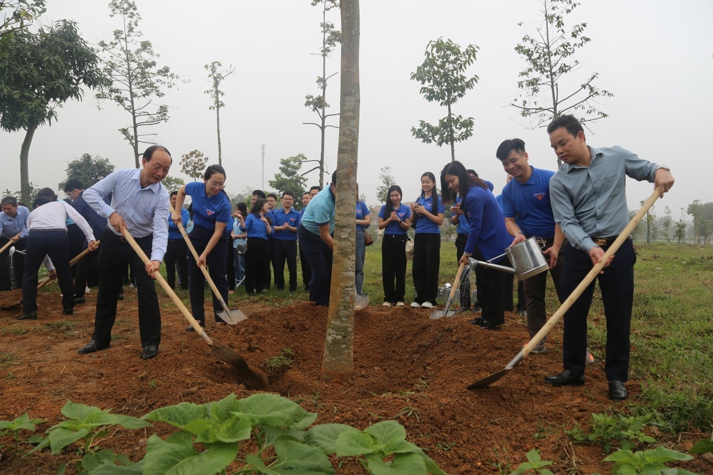 Phú Thọ: Tuổi trẻ ngành Ngân hàng dâng hương và trồng cây tại Khu di tích lịch sử Đền Hùng