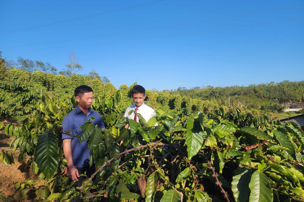 Đắk Nông sẽ tập trung phát triển nền nông nghiệp ứng dụng công nghệ cao, liên kết chuỗi giá trị thị trường; phát triển du lịch nghỉ dưỡng, sinh thái.