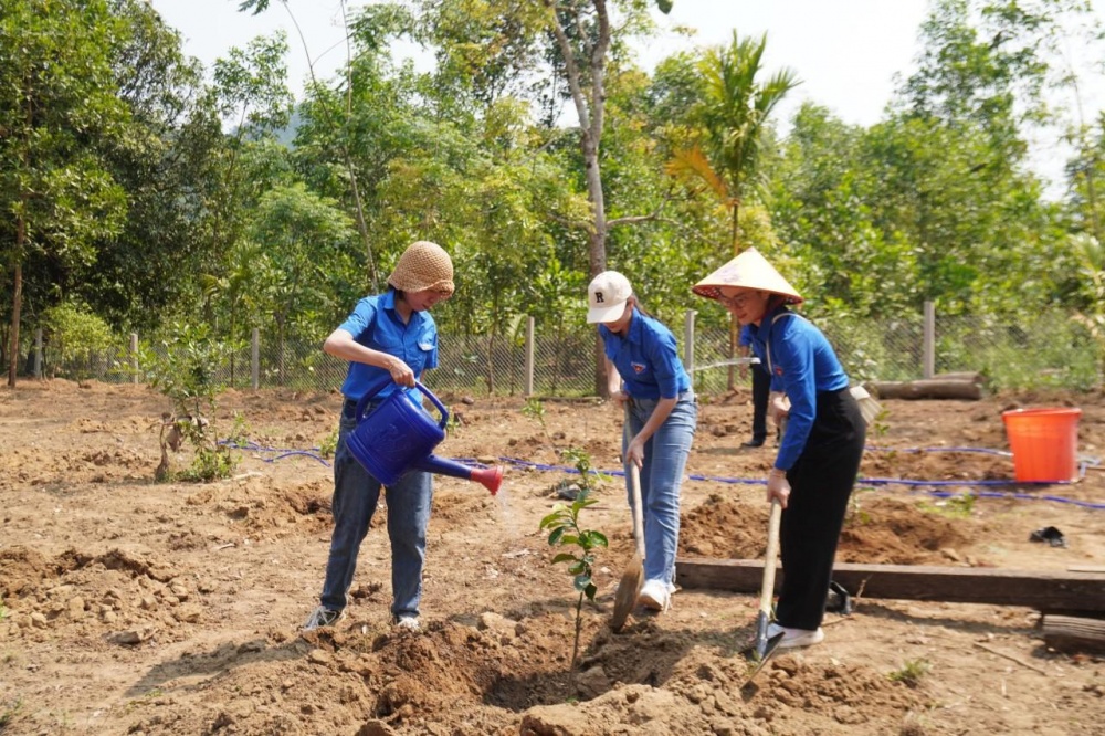 Các đoàn viên thanh niên tổ chức trồng cây, góp phần phủ xanh đất trống, đồi trọc Các đoàn viên thanh niên tổ chức trồng cây, góp phần phủ xanh đất trống, đồi trọc