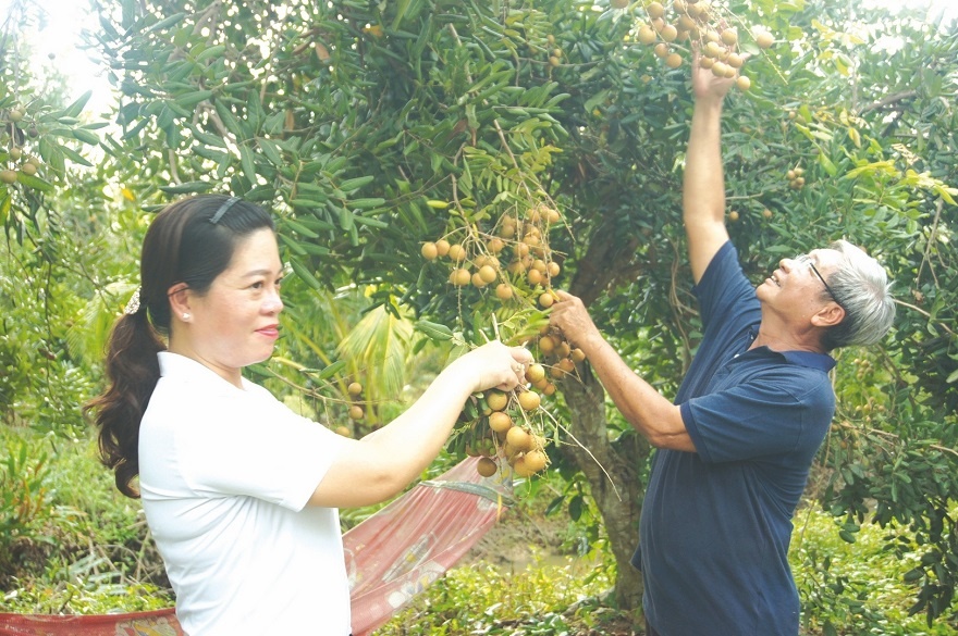 Gần 7.360 tỷ đồng vốn tín chấp giải ngân qua tổ vay vốn