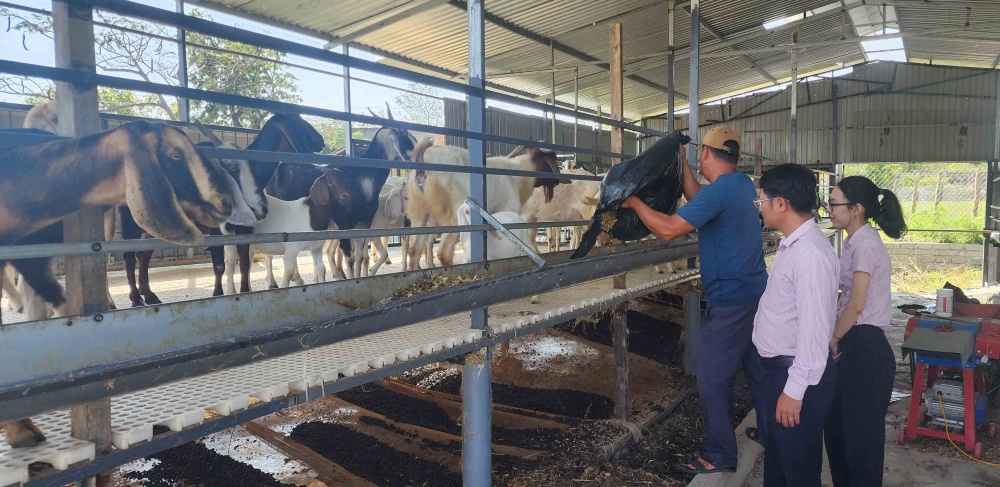 Mô hình vay vốn từ Ngân hàng Chính sách xã hội huyện Thuận Bắc Mô hình vay vốn từ Ngân hàng Chính sách xã hội huyện Thuận Bắc