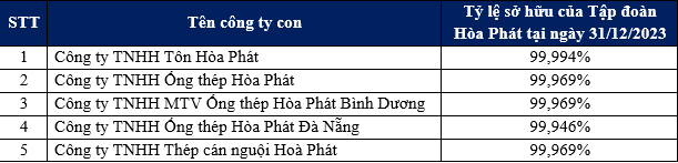 Nguồn: Báo cáo tài chính hợp nhất kiểm toán năm 2023 của Tập đoàn Hòa Phát Nguồn: Báo cáo tài chính hợp nhất kiểm toán năm 2023 của Tập đoàn Hòa Phát