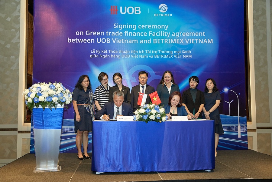 Tài trợ thương mại xanh cho doanh nghiệp ngành dừa