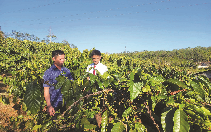 “Thủ phủ” cà phê mời gọi đầu tư