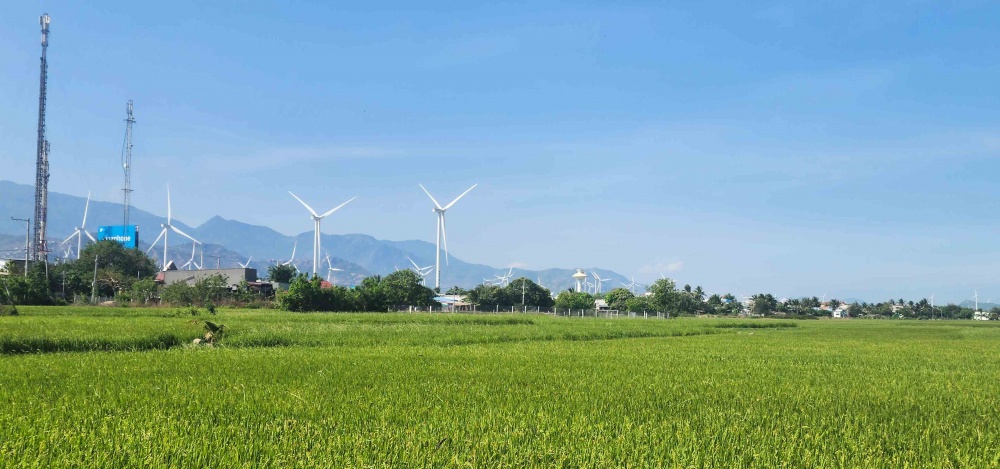 Nguồn vốn tín dụng đã và đang tạo điều kiện thuận lợi cho các thành phần kinh tế, phục vụ hoạt động sản xuất, kinh doanh, đóng góp quan trọng vào quá trình phục hồi và phát triển kinh tế ở Ninh Thuận.