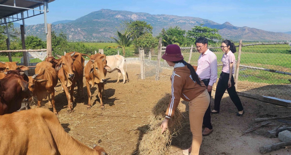 tạo điều kiện thuận lợi cho người dân và doanh nghiệp tiếp cận vốn, góp phần hạn chế tín dụng đen.