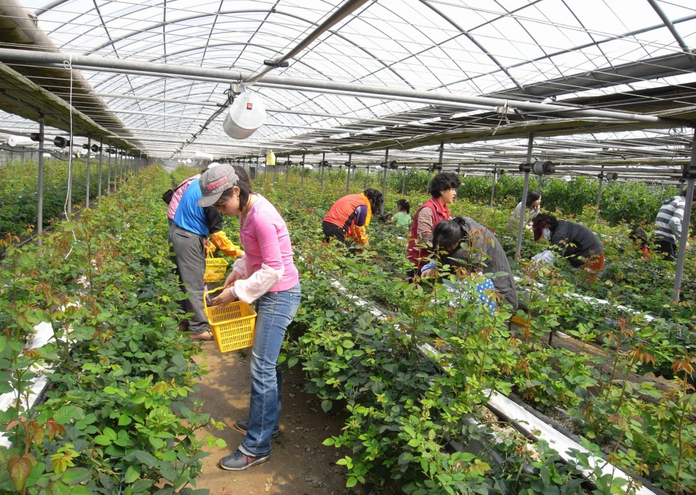 Cảnh giác những dấu hiệu lừa đảo, lợi dụng chương trình 