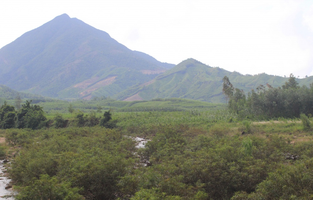 chuyển đổi xanh trong quá trình sản xuất kinh doanh, việc chuẩn bị sẵn nguồn nguyên liệu có nguồn gốc rõ ràng cũng được Bình Định chú trọng phát triển chuyển đổi xanh trong quá trình sản xuất kinh doanh, việc chuẩn bị sẵn nguồn nguyên liệu có nguồn gốc rõ ràng cũng được Bình Định chú trọng phát triển