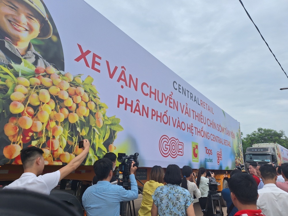 Kích cầu tiêu thụ vải thiều chín sớm