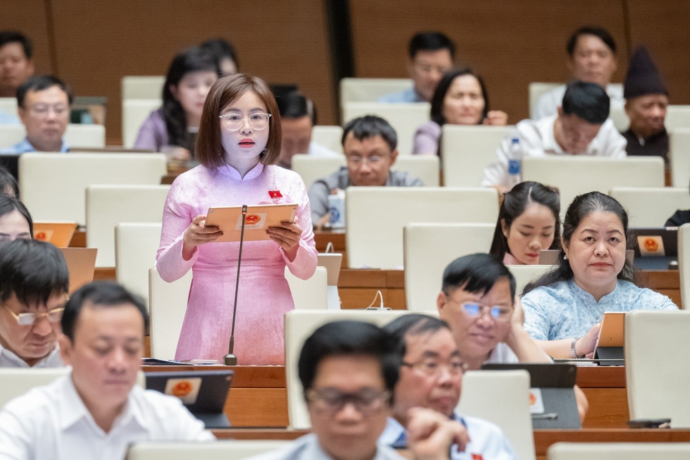 Đại biểu Nguyễn Việt Hà (Đoàn Tuyên Quang))