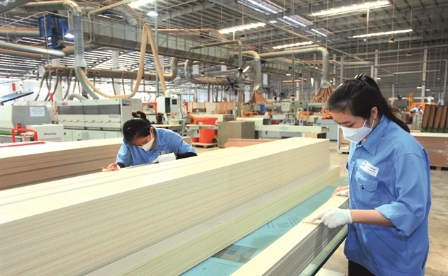 Công ty cổ phần gỗ An Cường, doanh nghiệp đạt chứng chỉ bền vững CSI 2023 Công ty cổ phần gỗ An Cường, doanh nghiệp đạt chứng chỉ bền vững CSI 2023