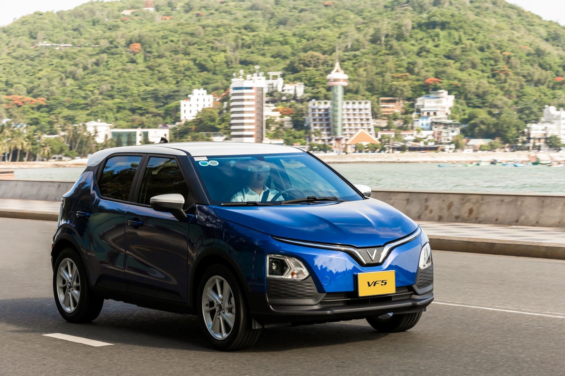 Tổng Giám đốc GSM toàn cầu: Chung tay vì một Việt Nam xanh