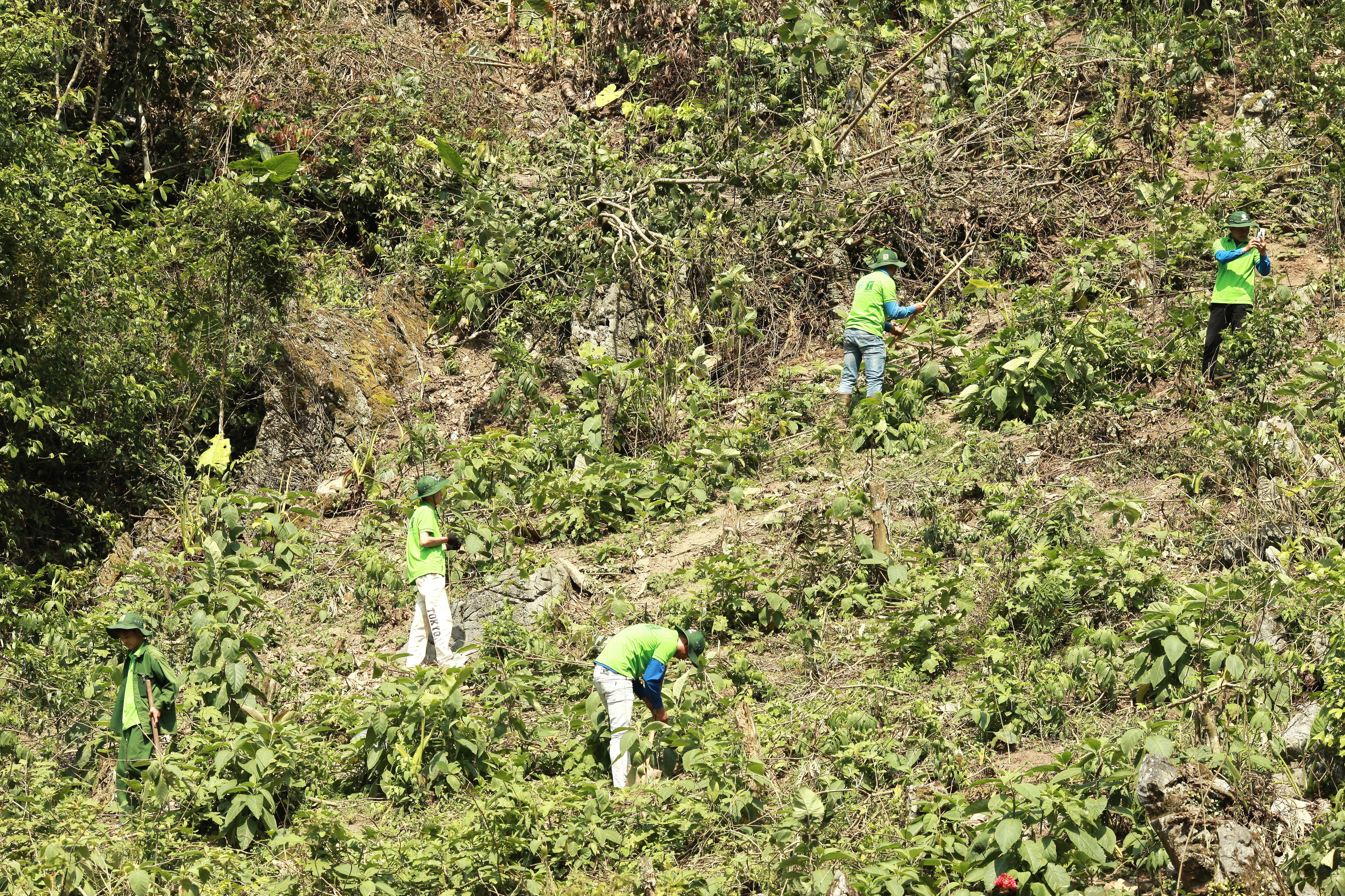 công cuộc hồi sinh những cánh rừng sẽ nhanh cán đích và phát triển bền vững cho các thế hệ sau công cuộc hồi sinh những cánh rừng sẽ nhanh cán đích và phát triển bền vững cho các thế hệ sau