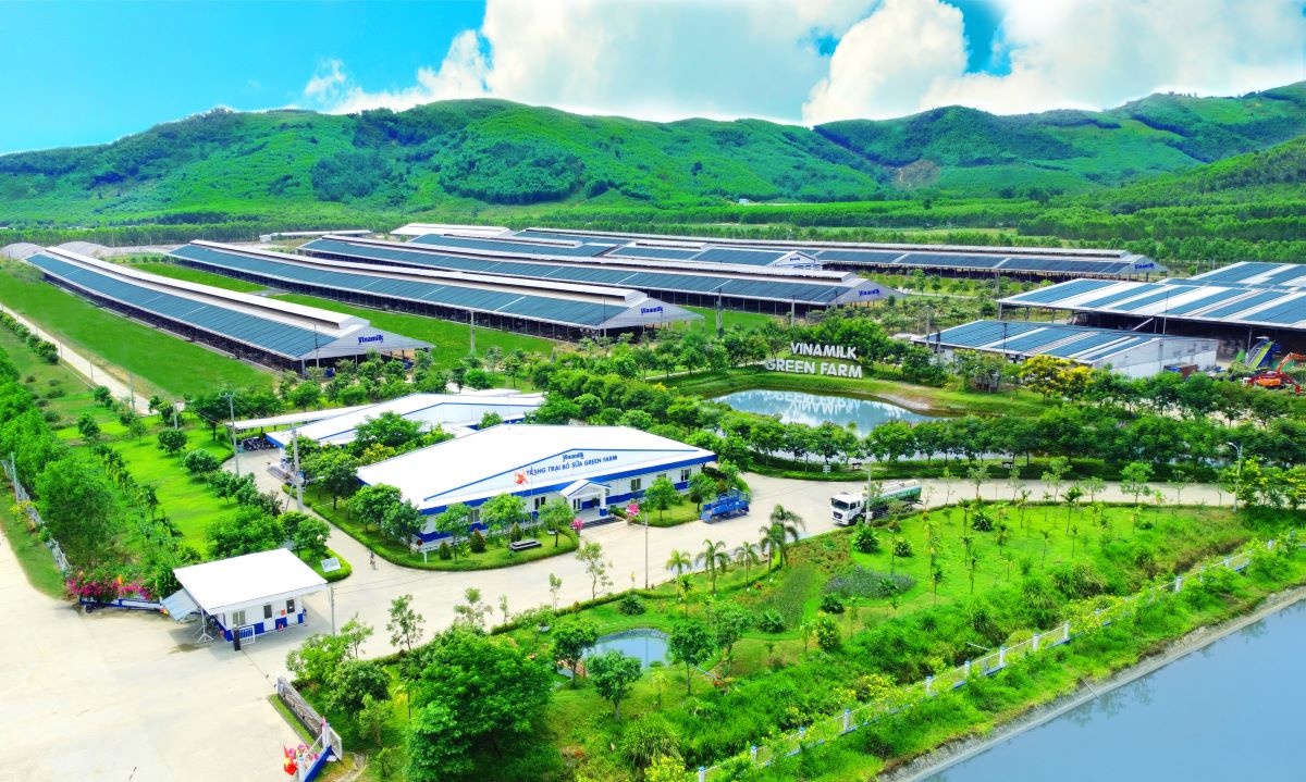 Lượng carbon trung hòa của trang trại Green Farm tương đương 30.000 sân bóng phủ đầy cây xanh, lượng nước tuần hoàn tương đương 86 hồ bơi Olympic.