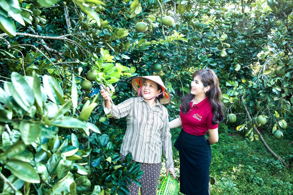 36 năm tô đậm dấu ấn “trụ đỡ” của nền kinh tế 36 năm tô đậm dấu ấn “trụ đỡ” của nền kinh tế