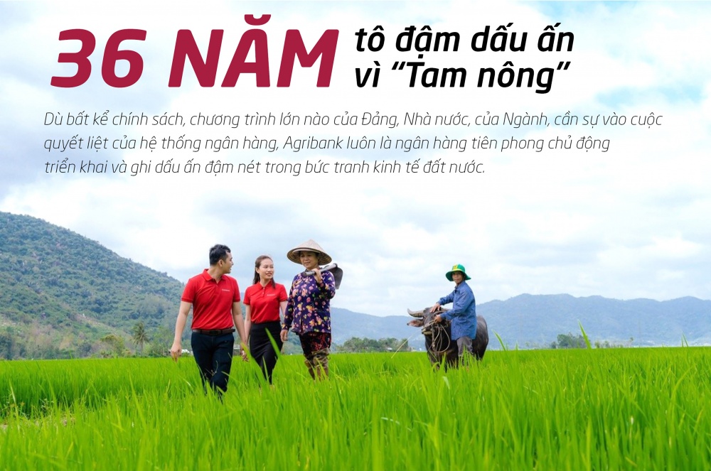 36 năm tô đậm dấu ấn “trụ đỡ” của nền kinh tế 36 năm tô đậm dấu ấn “trụ đỡ” của nền kinh tế