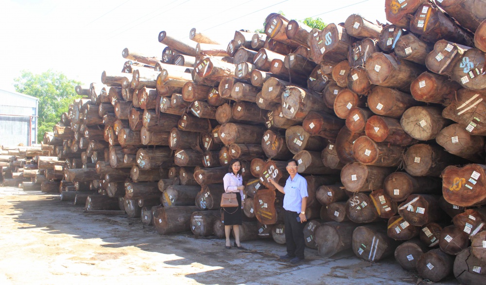 Ngành Ngân hàng trên địa bàn Bình Định đã và đang nỗ lực cùng đồng hành với doanh nghiệp sản xuất, chế biến gỗ ở địa phương. Ngành Ngân hàng trên địa bàn Bình Định đã và đang nỗ lực cùng đồng hành với doanh nghiệp sản xuất, chế biến gỗ ở địa phương.