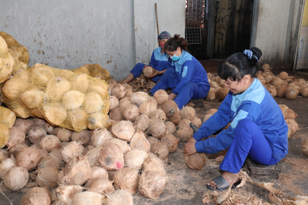 Bến Tre phát triển chuỗi giá trị ngành hàng nông sản