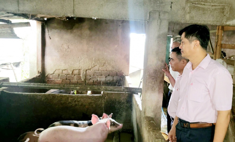 Đà Nẵng: Chỉ thị số 40 đáp ứng được nguyện vọng của người dân Đà Nẵng: Chỉ thị số 40 đáp ứng được nguyện vọng của người dân