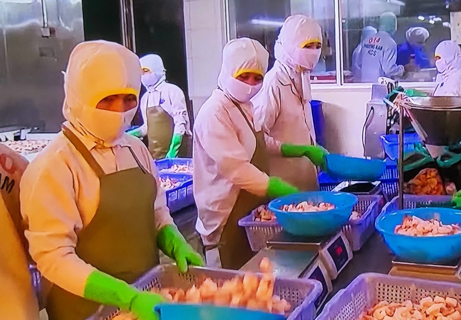 xuất khẩu tôm hứa hẹn sẽ tăng trưởng mạnh dự kiến tăng trưởng tới 15% xuất khẩu tôm hứa hẹn sẽ tăng trưởng mạnh dự kiến tăng trưởng tới 15%