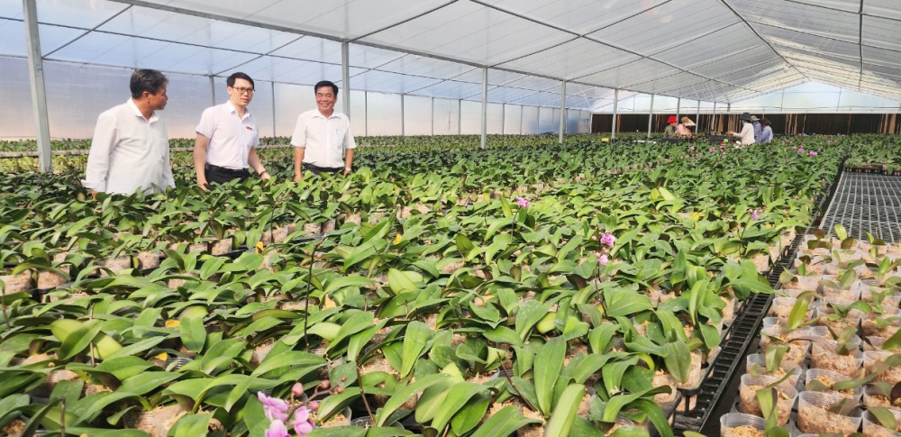 Nhằm tháo gỡ khó khăn, tiếp tục đẩy mạnh cho vay hợp tác xã