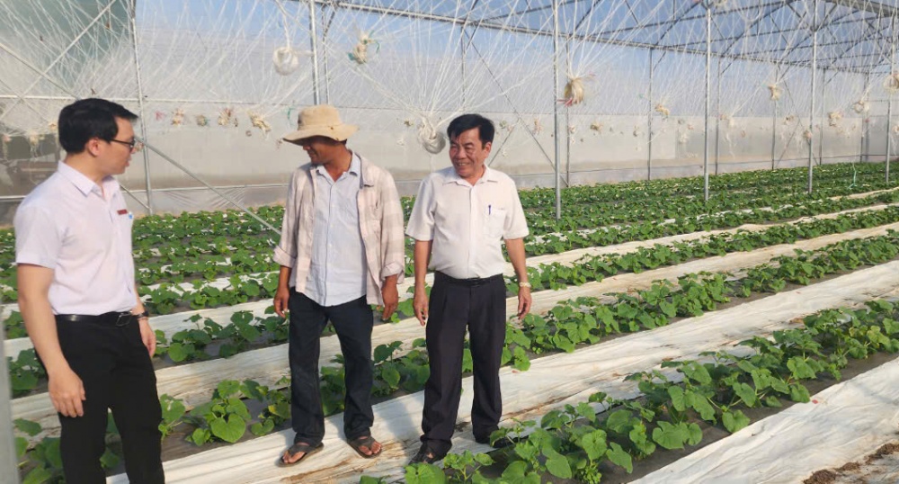 trang trại của ông Phạm Quốc Công ở xã Lương Sơn. trang trại của ông Phạm Quốc Công ở xã Lương Sơn.