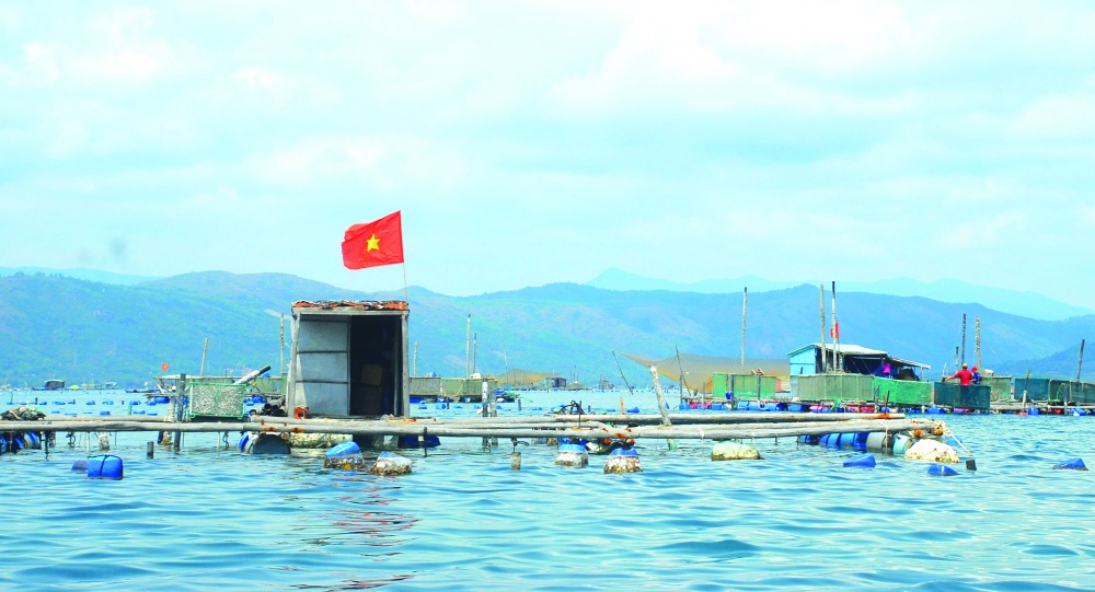 Việt Nam có nhiều tiềm năng để phát triển dược liệu biển Việt Nam có nhiều tiềm năng để phát triển dược liệu biển