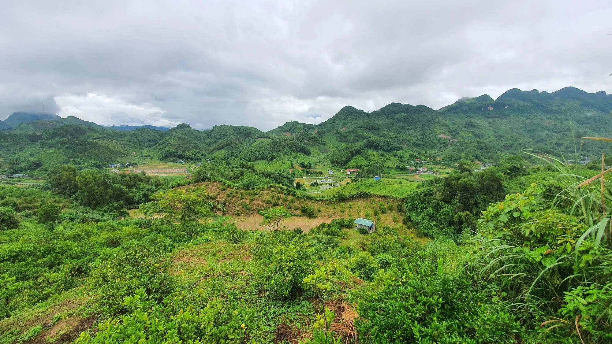 Phê duyệt Quy hoạch lâm nghiệp quốc gia thời kỳ 2021-2030, tầm nhìn đến năm 2050 Phê duyệt Quy hoạch lâm nghiệp quốc gia thời kỳ 2021-2030, tầm nhìn đến năm 2050