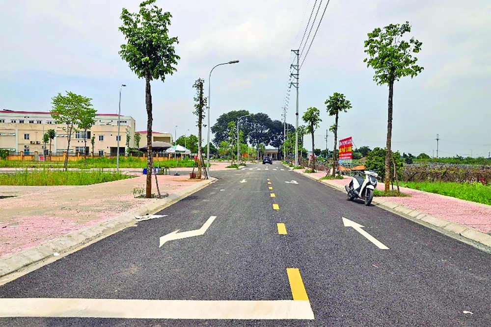 Giá đất trúng thầu cao bất thường so với giá mặt bằng chung của thị trường