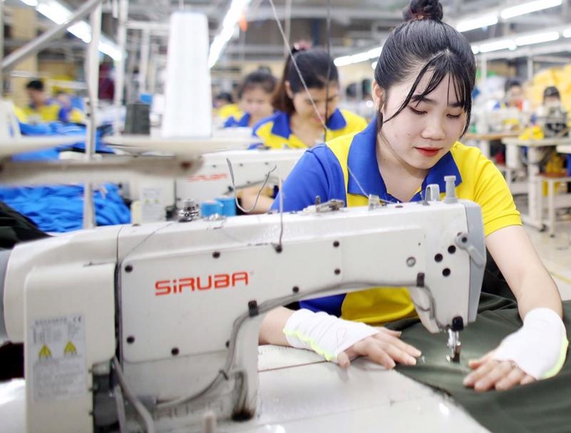 Thu ngân sách nhà nước 8 tháng năm 2024 duy trì tiến độ tốt Thu ngân sách nhà nước 8 tháng năm 2024 duy trì tiến độ tốt