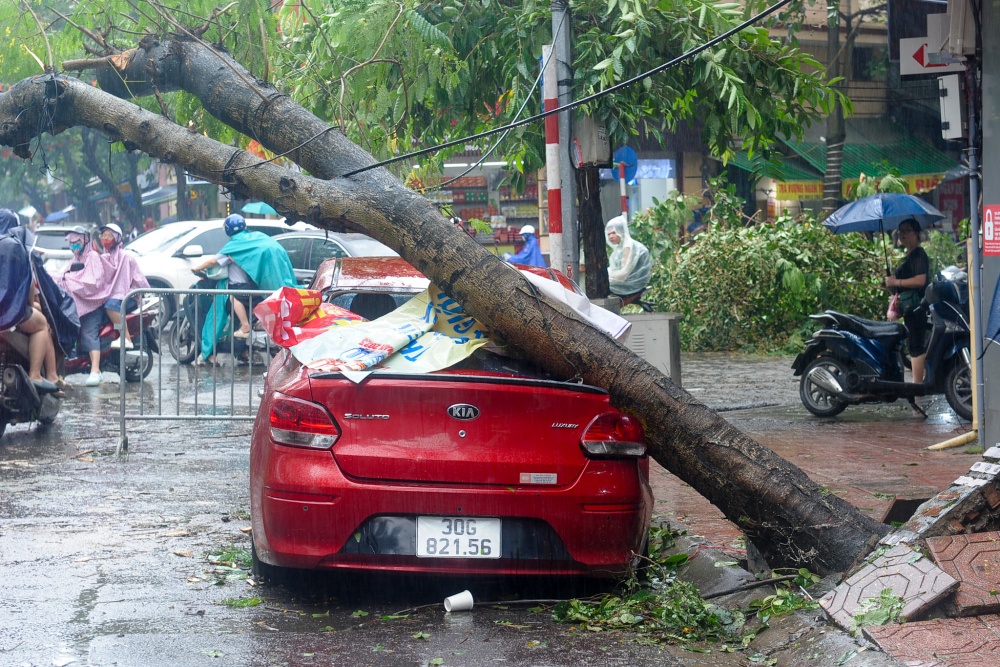 Một chiếc xe bị cây đè vào trên phố Hàng Than Một chiếc xe bị cây đè vào trên phố Hàng Than
