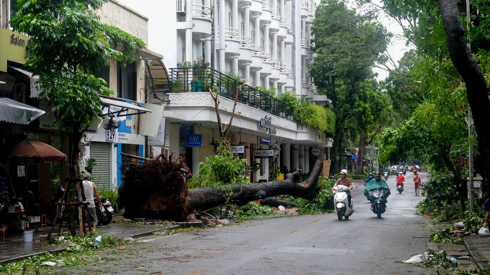 Phố Tông Đản Phố Tông Đản