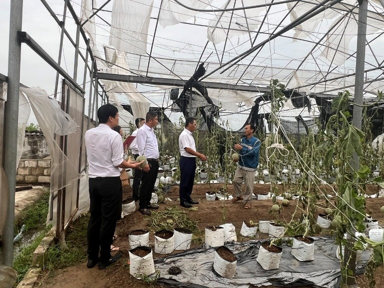 Ngân hàng đa dạng giải pháp hỗ trợ doanh nghiệp vượt qua khó khăn, phục hồi sau bão