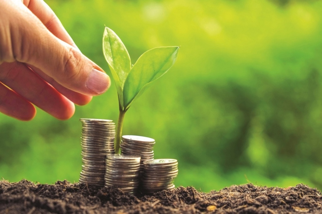 Tiếp cận hành trình chuyển đổi xanh thông qua đẩy mạnh yếu tố đa dạng, bao trùm. Tiếp cận hành trình chuyển đổi xanh thông qua đẩy mạnh yếu tố đa dạng, bao trùm.