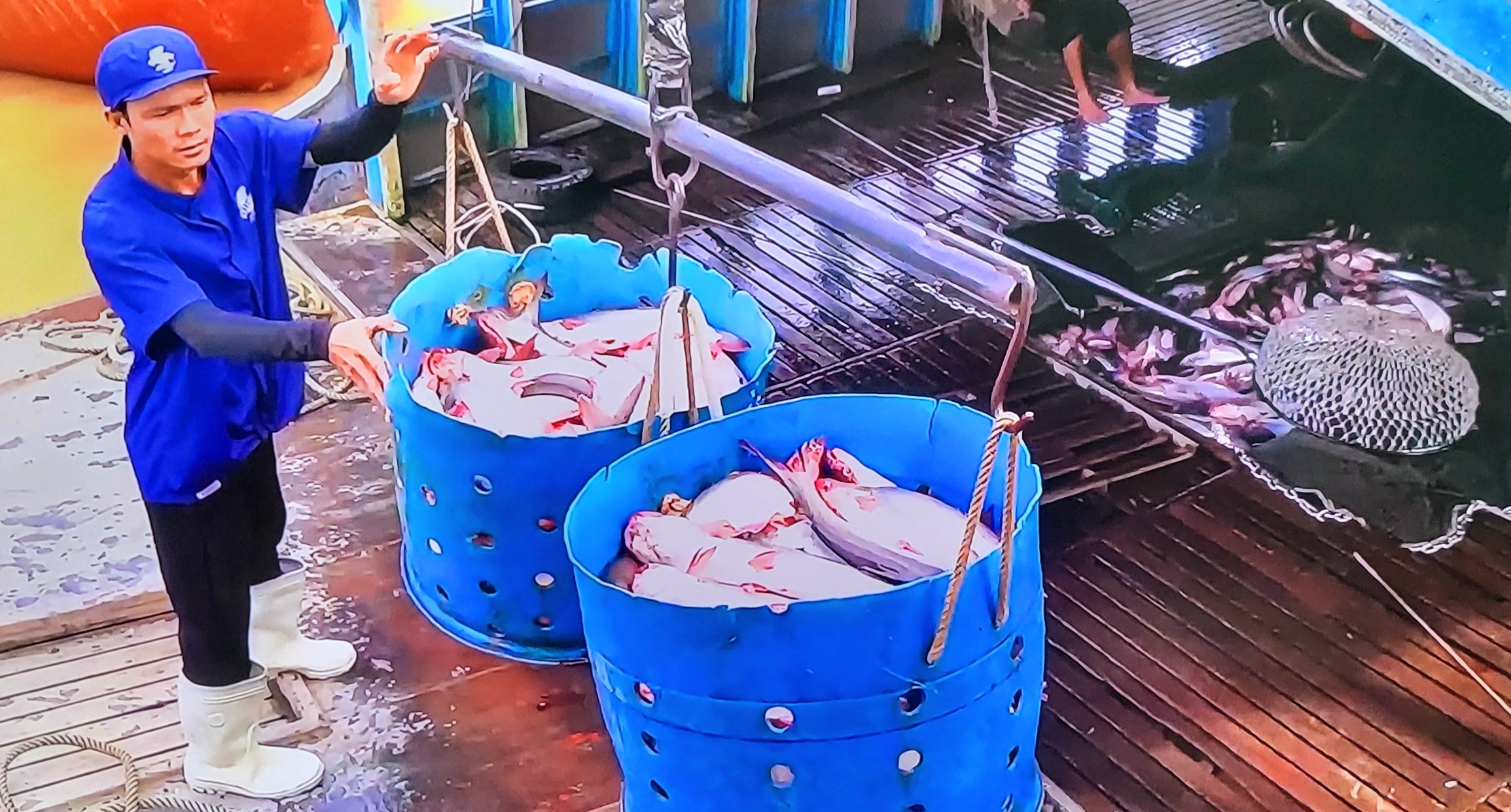 Sự thiếu hụt lao động sau thiên tai khá là nghiêm trọng