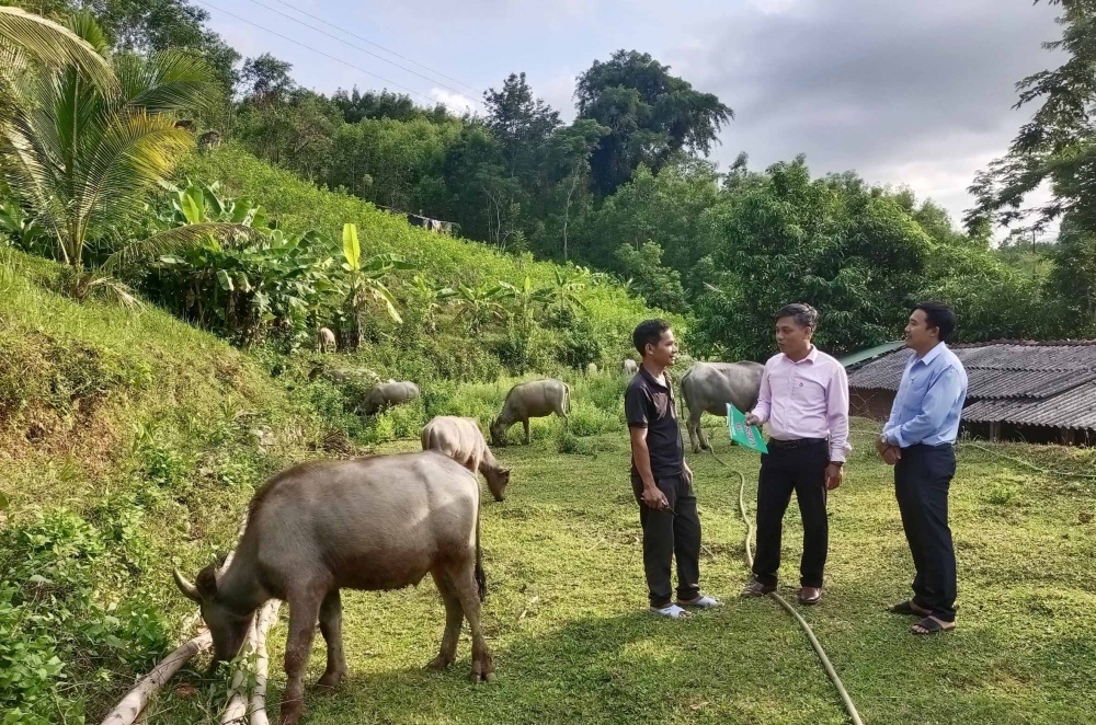 Hiệu quả của những ”cánh tay nối dài” góp phần để hoạt động tín dụng chính sách xã hội ở Quảng Ngãi thu được những kết quả ấn tượng